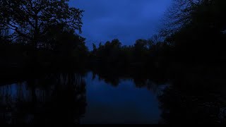 10 Часов ночное озеро в лесу, звуки сверчков, крепкий и глубокий сон, от бессонн