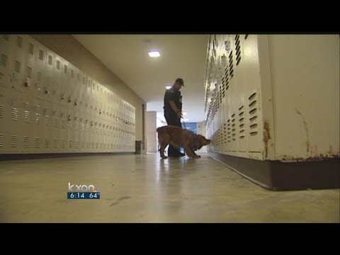 Do drug-sniffing dogs pass the smell test? Do drug-sniffing dogs pass the smell test?