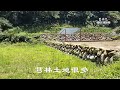 鹿寮坑極美平坦地【停止銷售】