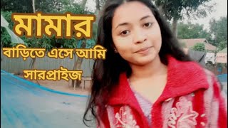 ❝শহরের বাইরে গ্রামের গল্প❞ |❝ চটপটি আর ভর্তার❞ স্বাদ\