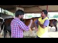 మనలా జీతగాళ్లు చేయలేరు young farmer ravi successful dairy farming mallesh adla