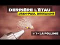 Derrière l'étau n°1 : montage d'une mouche sèche pour pêcher la truite