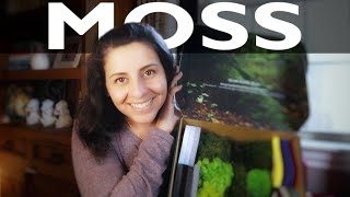 How to use MOSS // Biophilia // Sustainable Design Material