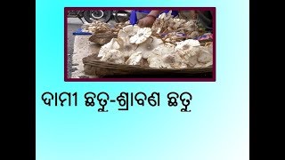 ଶ୍ରାବଣ ଛତୁ।କୋରାପୁଟର ସବୁଠୁ ଦାମୀ ଓ ସ୍ବାଦିଷ୍ଟ ଛତୁ।Costly and tasty mushroom ||Shrabana chhatu||