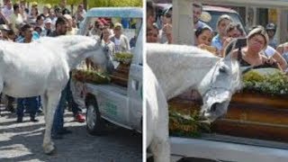 Horse Hugs Owner’s Coffin And Has Emotional Breakdown