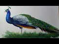 How to draw a peacock with poster colour | #10 PS Art Gallery