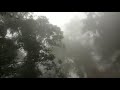 trip to wayanad fog in wayanad real beauty if road trip monsoon trees must visit location