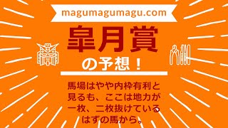 年間回収率100％を目指す漢の皐月賞、魂の予想！