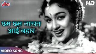 Chham Chham Naachat : Lata Mangeshkar Old Classic Hits (HD) Sunil Dutt, Asha Parekh | Chhaya (1961)