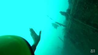 Coco View Resort, Roatan Honduras,  2022-10-25 Dive03 Video 02