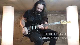 Pink Floyd - Comfortably Numb (both solos) - Roberto Hendrigo - GODIN SESSION HT