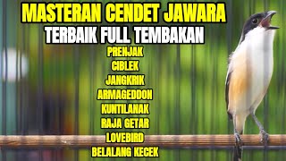 MASTERAN CENDET GACOR FULL TEMBAKAN MEWAH TERBAIK SEPANJANG MASA