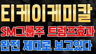 티케이케미칼 - SM그룹주 트럼프효과 재대로 보고있다 지금도 늦지 않았습니다 지금이라도 꼭 1주 매수 하세요 내년 역대급 불장 올겁니다