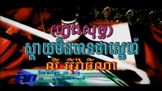 ស្ដាយមិនបានថាស្នេហ៍ (លី អ៊ីវ៉ាធីណា), ភ្លេងសុទ្ធ, MV Karaoke, ភ្លេងដើម, Full HD MV