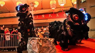 Lion Dance Franco Asiatique 英武堂 (LDFA) - CHINESE NEW YEAR 2025 - Tang Frères PARIS XIII - Théo \u0026 Jo