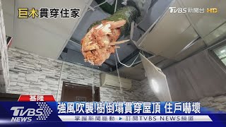 強風吹襲!樹倒塌貫穿屋頂 住戶嚇壞 ｜TVBS新聞 @TVBSNEWS02