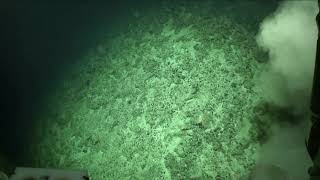 SeaRover2017 ROV Holland (Marine Institute, Ireland) underwater video transect (D459AT12HD07072017)