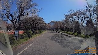 ２０２２年４月９日　新潟県五泉市　粟島公園　→五泉高校前