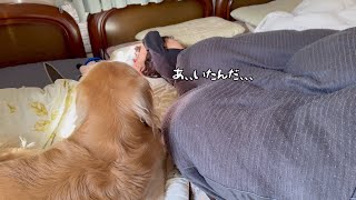 普段子供に優しすぎる愛犬が、寝てる姉に気付かず勢いよくダイブしてしまったときの気まずい間、、、