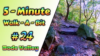 5-Minute-Walk-A-Bit - #24 - Bode Valley - Grande Finale