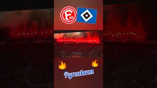 Fortuna Düsseldorf - Hamburger SV Pyroalarm #shorts #pyro #hsv