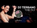 DJ KU INGIN TERBANG BERSAMAMU - DJ TERBANG THE FLY VIRAL TIKTOK FULL BASS 2023 - WisoN Remix