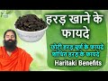 छोटी हरड़ के फायदे/harad ke fayde baba ramdev/chhoti kali harad khane ke fayde/Haritaki Benefits