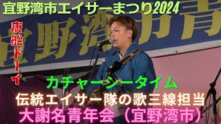 唐船ドーイ　カチャーシータイムの演奏 　大謝名青年会の地謡　伝統エイサー　歌三線担当の地謡　宜野湾市エイサーまつり2024（宜野湾市海浜公園）