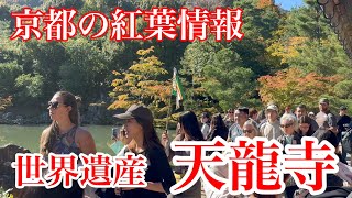 2024年11月9日 京都の紅葉散歩🍁 もみじ色付く嵐山天龍寺を歩く Walking around Tenryu-ji Temple in Arashiyama, Kyoto 【4K】