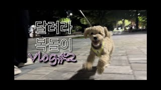 1달만에 돌아온 산책 Vlog!!