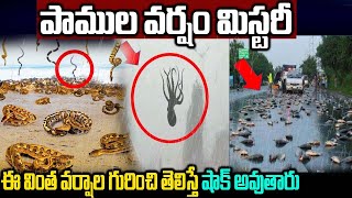 Top 10 Most Amazing Natural Phenomenon | Fish Rain | Snakes Rain | Facts In Telugu | Telugu Ammayi