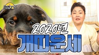 (서울점집,홍대점집) 2020년 준비하자 개띠들이여!! 낱낱히 알려주마~!!  [점점tv]