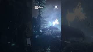 Tree Falls, Blows Up Power Lines in Washington