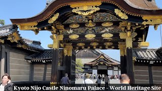 Kyoto Nijo Castle Ninomaru Palace - 京都二条城二の丸御殿