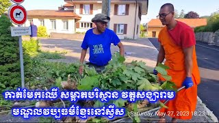 កាត់មែកឈើសម្អាតបរិស្ថាននៅវត្តសង្ឃារាមប្រទេសស្វីស