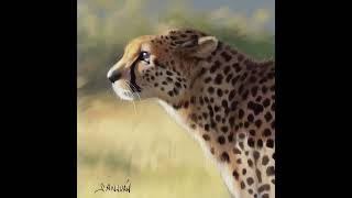 Procreate Cheetah timelapse