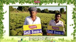 નિધી કૈલાશ ૫ નું સર્વશ્રેઠ પરિણામ  (CUMIN NIDHI KAILASH 5 )