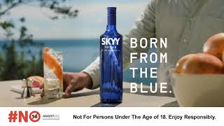 SKYY Vodka - Product