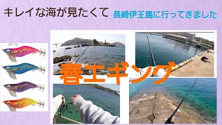 (エギング)長崎伊王島～ 香焼 ！キレイな海で癒されました！春エギング 釣り日は3月後半