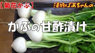 【菊花かぶ】かぶの甘酢漬け『かぶの葉も捨てずに漬けました！！』