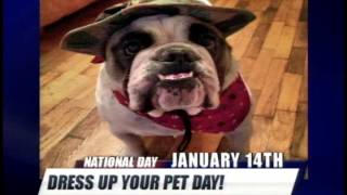 National Dress Up Your Pet Day