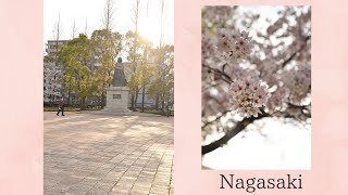 お花見日和の平和公園（nagasaki,peace park）