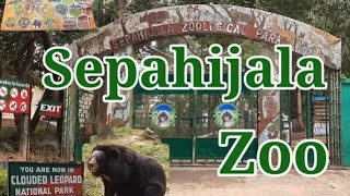 Bishalgarh to sepahijala park_beautiful 🌼🌾,,,,2021