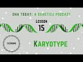 DNA Today Podcast Lesson 15: Karyotyping: A Cytogenetic Analysis