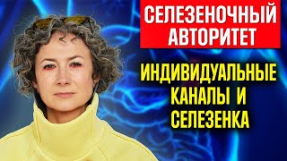 СЕЛЕЗЕНОЧНЫЙ АВТОРИТЕТ/спонтанный манифестор/спонтанный проектор/ внутренний авторитет/ВЫЖИВАНИЕ