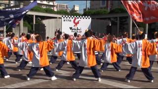 新煽組２０１４　佐世保祭り　２５日　島瀬会場