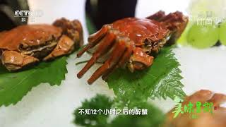 高淳醉蟹竟需要12小时腌制入味《味道》20210928| 美食中国 Tasty China