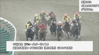 2017年3月25日・26日阪神競馬制裁事象