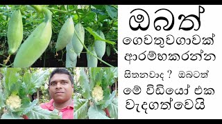 ගෙවතුවගාවේදී දැනගතයුතු මූලික කරුණු  Basic things to know in home gardening