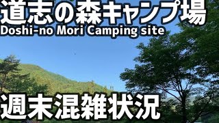 道志の森キャンプ場 週末混雑状況